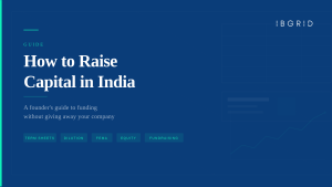 How to Raise Funds in India - A Complete Guide by IBGrid